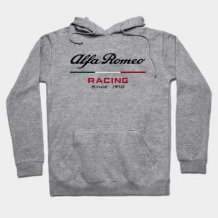 Alfa Romeo Racing F1 (visit:  fmDisegno.redbubble.com for full range) Hoodie